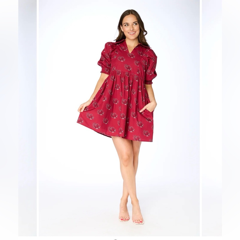 Stewart Simmons gamecocks dress